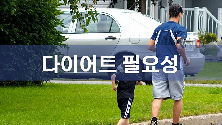 다이어트의 필요성과 효과적인 다이어트