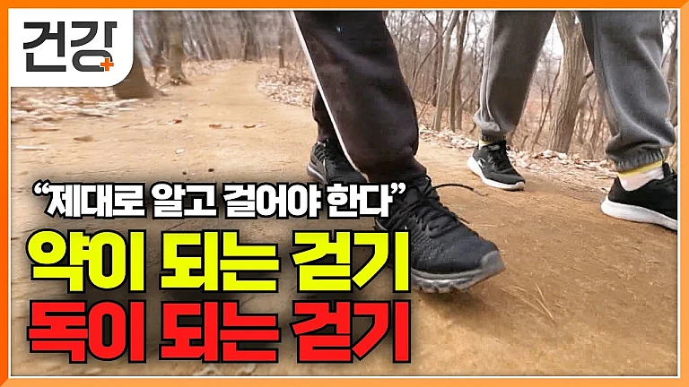 걷기의 건강 효과와 바른 자세의 중요성 걷기의 건강 효과와 바른 자세의 중요성