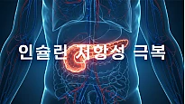 인슐린 저항성 극복: 다이어트 성공을 위한 핵심 호르몬 관리 전략