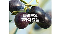 올리브 오일 효능 일곱 가지와 매일 먹는 간단한 방법