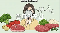 알파리포산, 음식으로 섭취하는 법