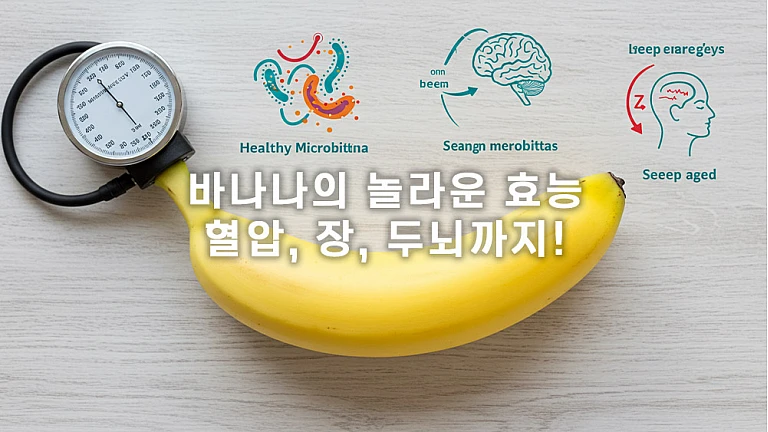치매 예방? 혈압 조절? 바나나 하나면 충분! 치매 예방? 혈압 조절? 바나나 하나면 충분!