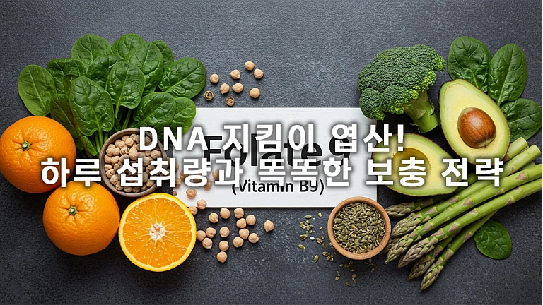 엽산(비타민 B9) 하루 권장량: 성인이 꼭 알아야 할 모든 것 엽산(비타민 B9) 하루 권장량: 성인이 꼭 알아야 할 모든 것