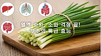 부추, 인삼보다 낫다? 제대로 먹는 법 대공개