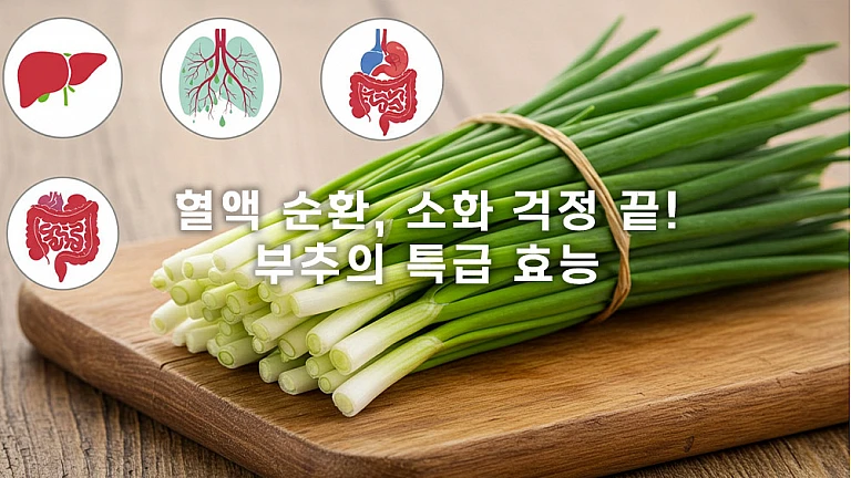 부추, 인삼보다 낫다? 제대로 먹는 법 대공개