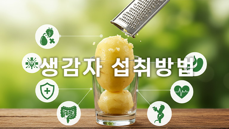 생감자, 효능과 주의사항 완벽 정리