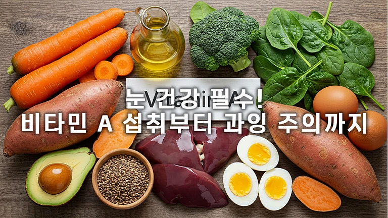 비타민 A 하루 권장량: 성인이 꼭 알아야 할 모든 것 비타민 A 하루 권장량: 성인이 꼭 알아야 할 모든 것