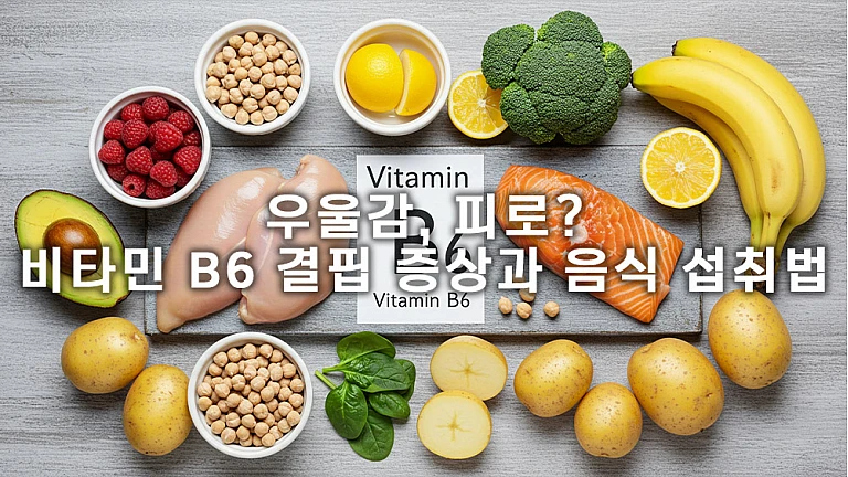 성인 비타민 B6 권장량과 풍부한 음식 완전 정리 성인 비타민 B6 권장량과 풍부한 음식 완전 정리