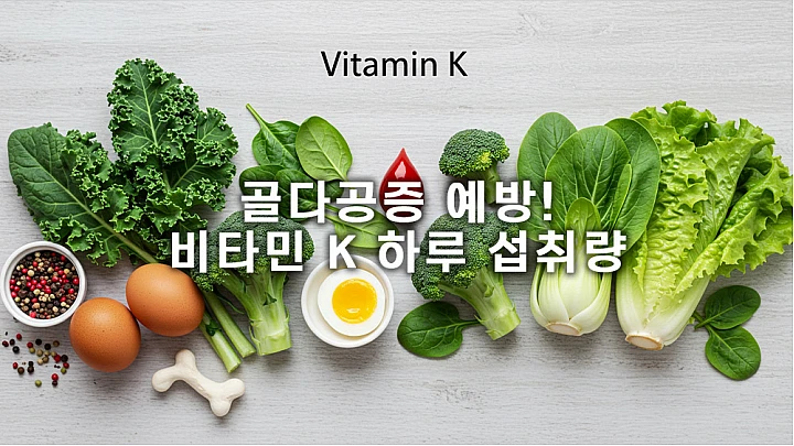 비타민 K 하루 권장량: 성인 혈액 응고, 뼈 건강 지킴이 비타민 K 하루 권장량: 성인 혈액 응고, 뼈 건강 지킴이
