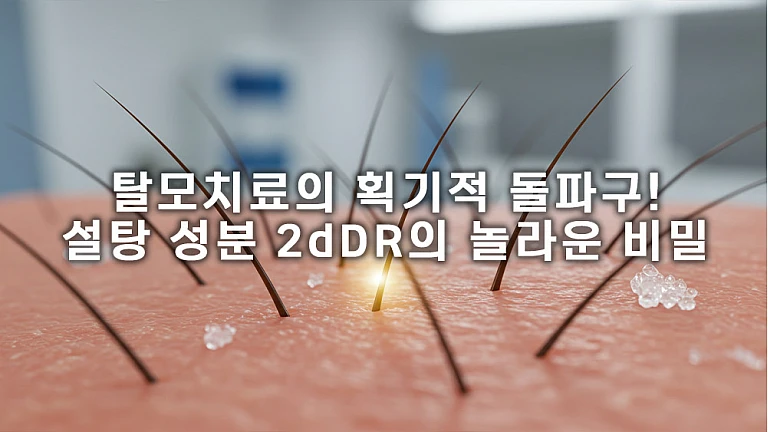 탈모치료의 획기적 돌파구! 설탕 성분 2dDR의 놀라운 비밀