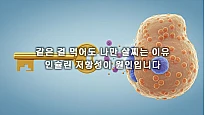 살이 찌는 이유: 요요 없는 다이어트의 핵심, 인슐린 저항성