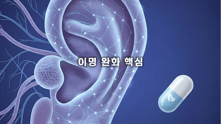 이명 완화 핵심: 귀 신경 안정 영양소 (메코발라민, GABA, 마그네슘) 복합 섭취 전략
