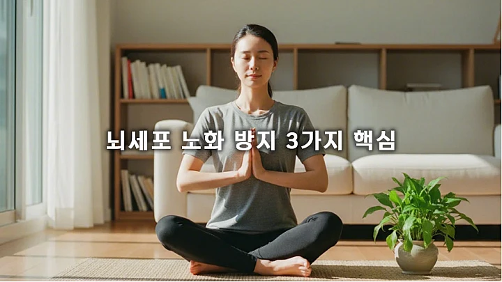 뇌세포 노화 방지 3가지 핵심: 뇌 기능 감퇴 막는 스트레스 관리와 자가 진단법 뇌세포 노화 방지 3가지 핵심: 뇌 기능 감퇴 막는 스트레스 관리와 자가 진단법