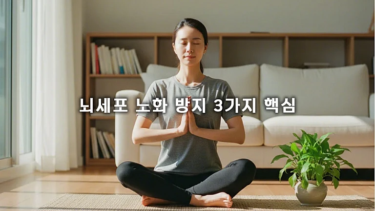 뇌세포 노화 방지 3가지 핵심: 뇌 기능 감퇴 막는 스트레스 관리와 자가 진단법