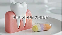 잇몸 건강 영양제 성분 3가지 그룹: 50대 이상 잇몸 약해지는 원인 해결하는 칼슘 마그네슘 비타민 D 비율 2:1 전략