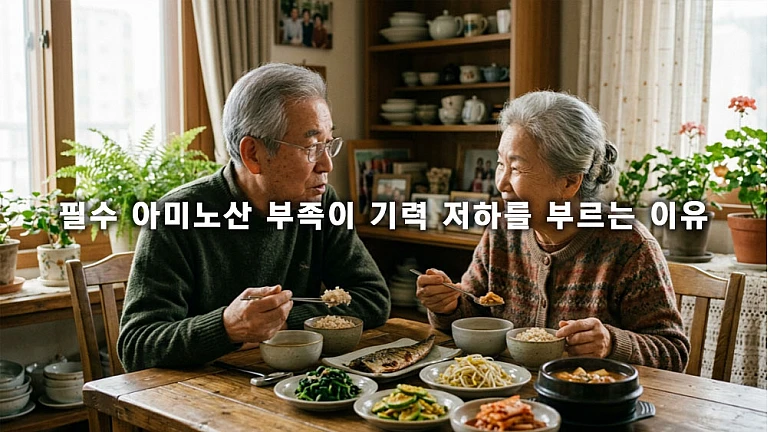 노인 필수 아미노산 부족이 기력 저하를 부르는 이유와 건강한 식습관 전략