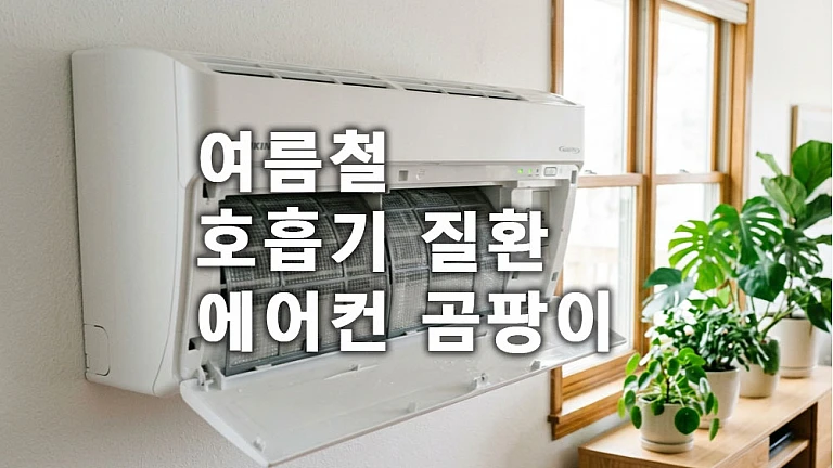 여름철 호흡기 질환 에어컨 곰팡이 연관성과 만성 기침 예방 관리법