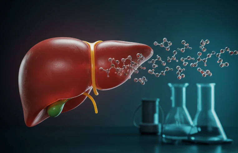 간 모양의 구조물에서 알부민 분자 모형이 합성되어 나오는 모습