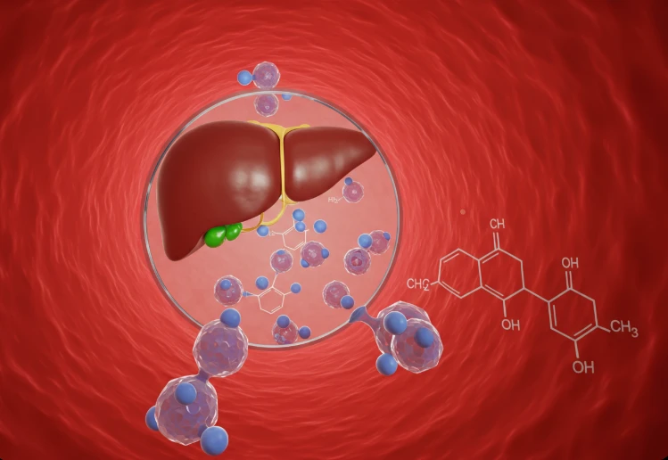 인슐린 호르몬이 혈액을 타고 이동하며 당을 세포로 안내하는 모습